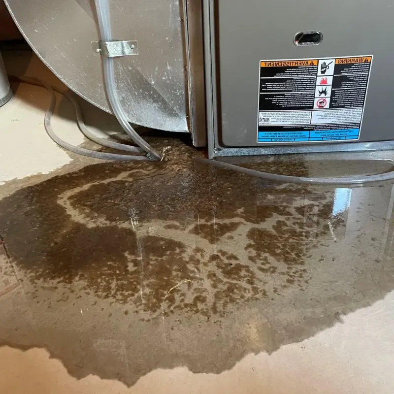 Pipe Burst and Leak Restoration in Santa Clara Pueblo, NM